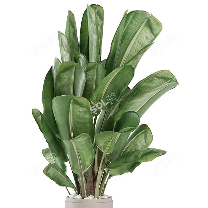 Modern Indoor Plants Set 1958 3D model image 2