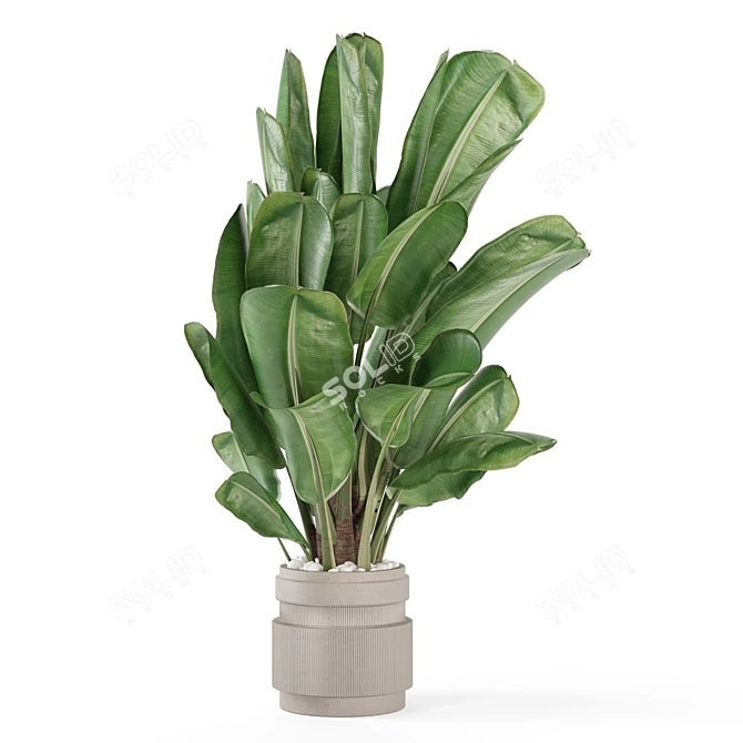 Modern Indoor Plants Set 1958 3D model image 3