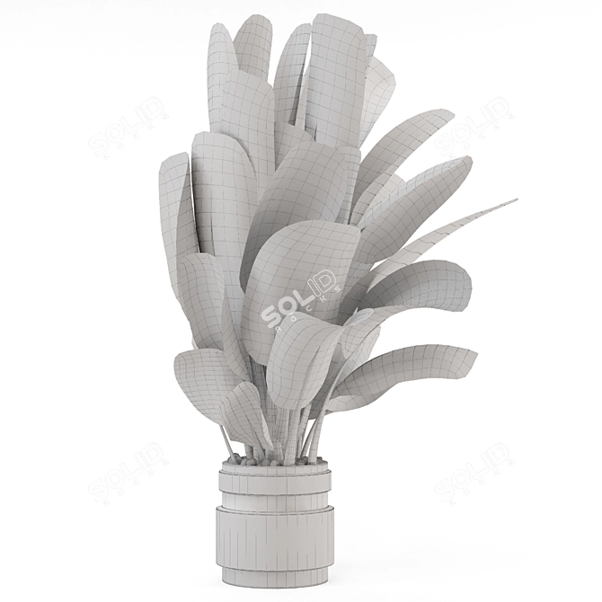 Modern Indoor Plants Set 1958 3D model image 4