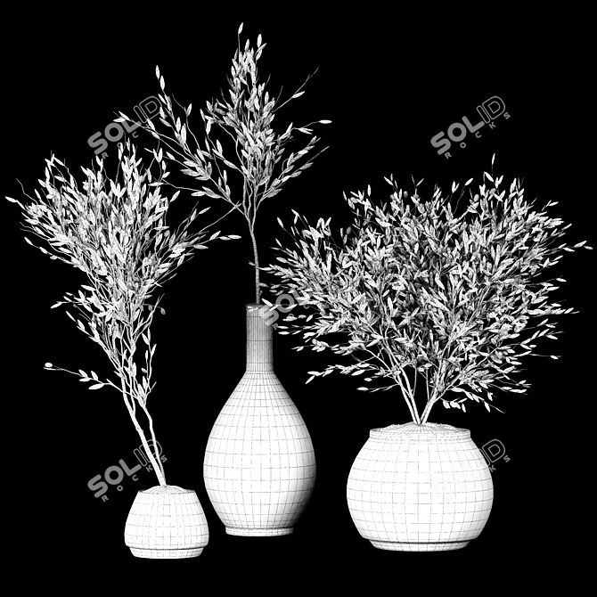 Modern Plant Collection 2015 3D model image 5