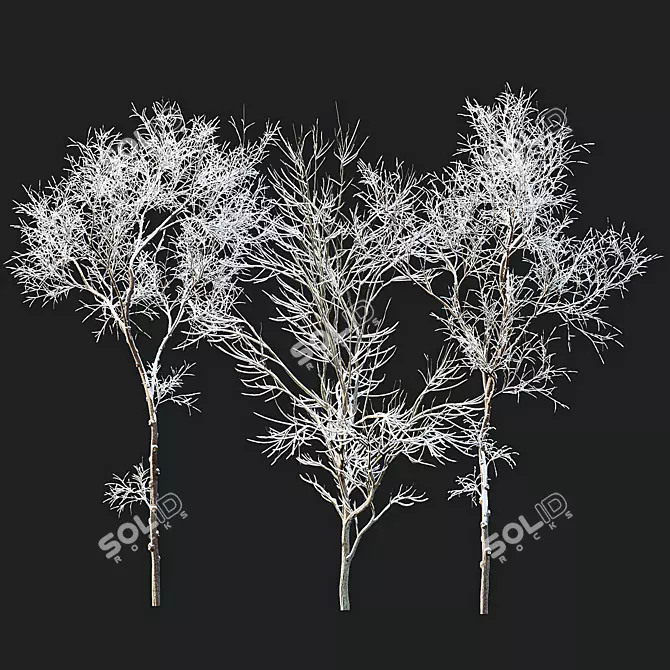 Winter Snow Trees 3D Models 3D model image 3