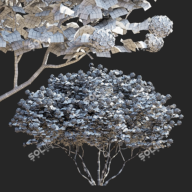 Flowering Viburnum Multistem 3D Model 3D model image 4