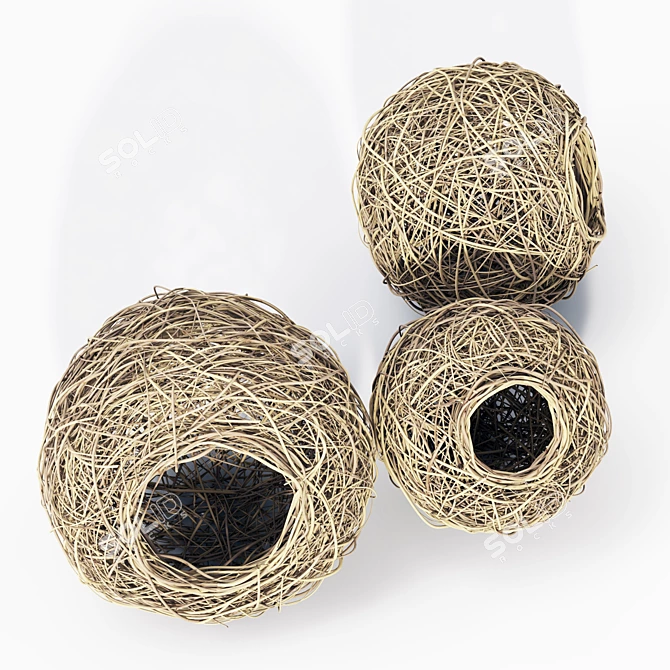 3D Polygon Model Bundle: Nest n5 3D model image 3