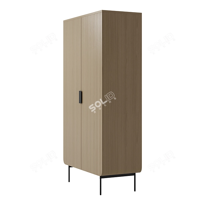 Retro-Chic 2-Door Wardrobe 3D model image 5