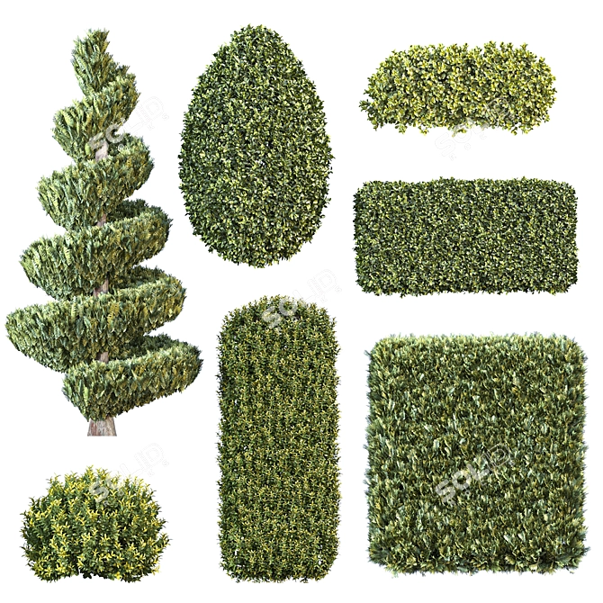  Landscaping Bushes Pack for Vray 3D model image 4