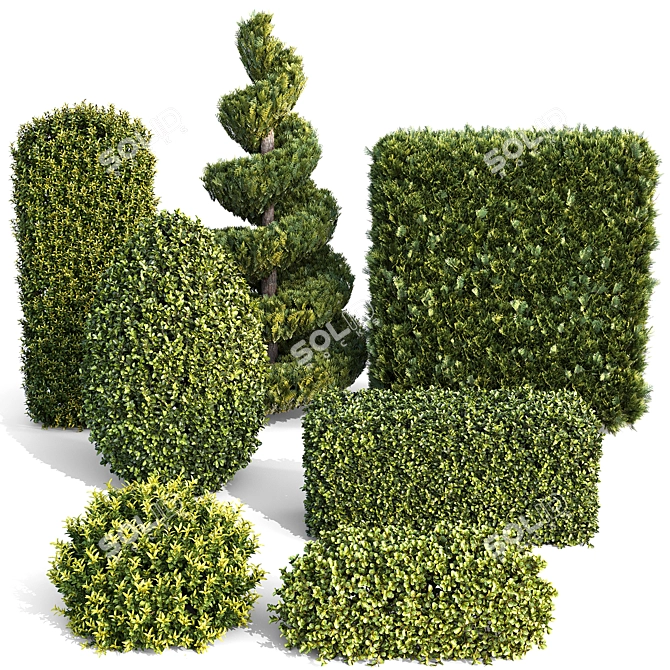  Landscaping Bushes Pack for Vray 3D model image 7