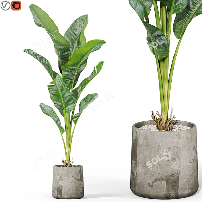  Botanical Bliss 3D Plants Pack 3D model image 1