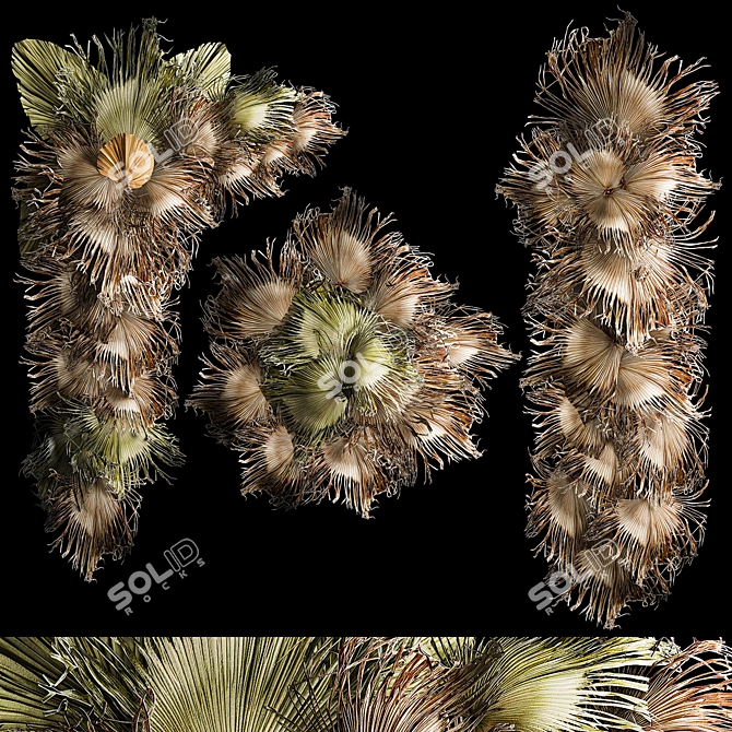 Palm Leaf Wall Art Ensemble 3D model image 1