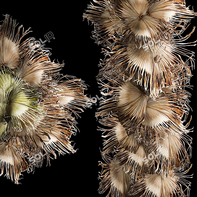 Palm Leaf Wall Art Ensemble 3D model image 3