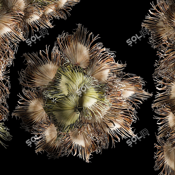 Palm Leaf Wall Art Ensemble 3D model image 4