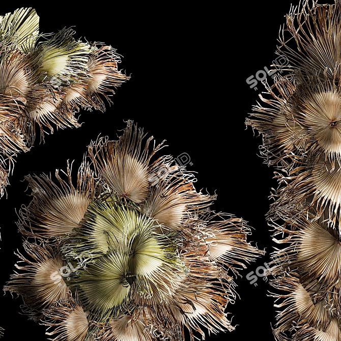 Palm Leaf Wall Art Ensemble 3D model image 6