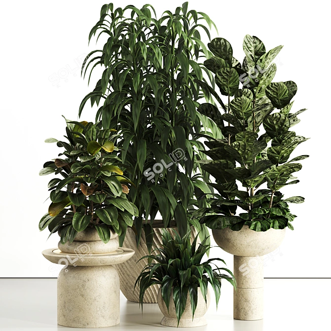 Premium Indoor Plant Set 81 3D model image 1