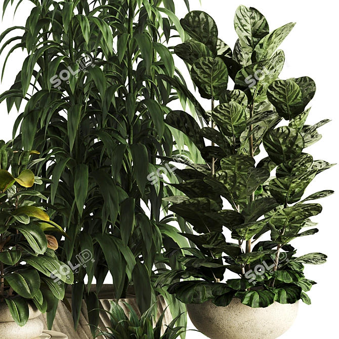 Premium Indoor Plant Set 81 3D model image 3