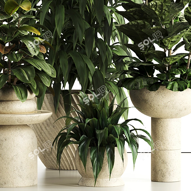 Premium Indoor Plant Set 81 3D model image 4