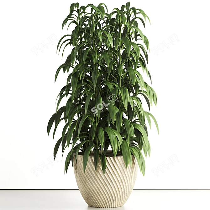 Premium Indoor Plant Set 81 3D model image 5