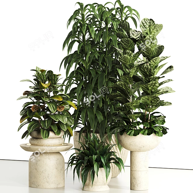 Premium Indoor Plant Set 81 3D model image 6