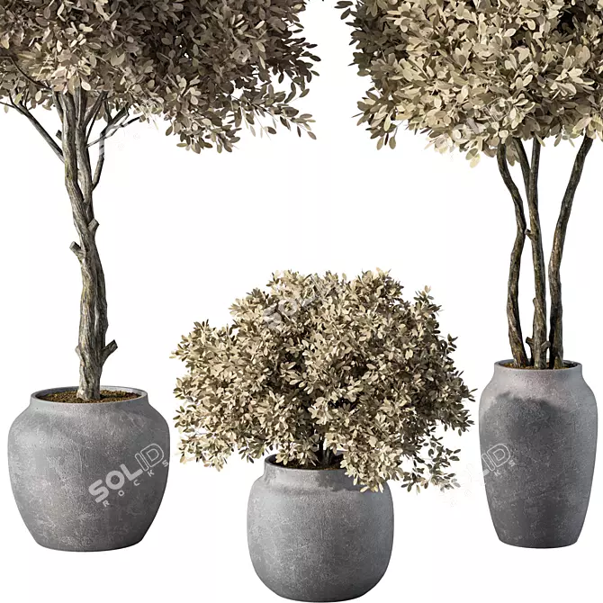 Botanical Sanctuary Set 3D model image 2