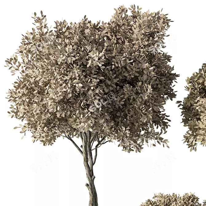 Botanical Sanctuary Set 3D model image 3