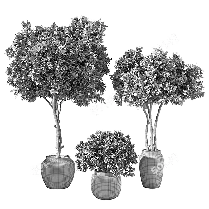 Botanical Sanctuary Set 3D model image 4