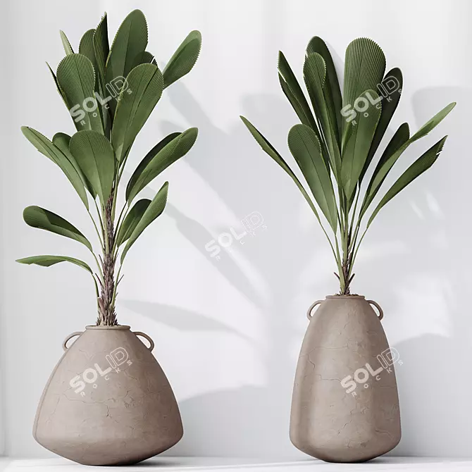 Exotic Licuala Grandis Palm Set 3D model image 2