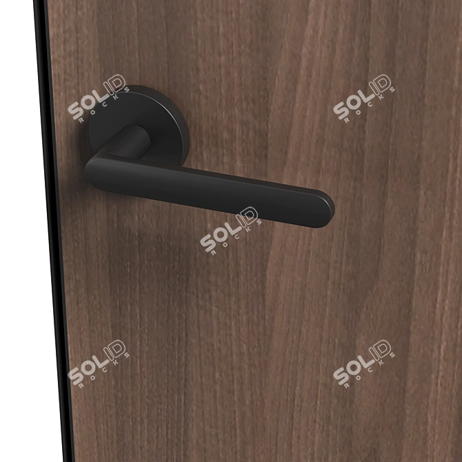 Matte Stained Oak Rift Doors 3D model image 3