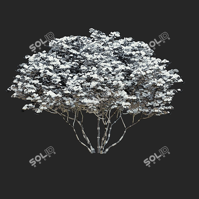 Viburnum Berries Multistem Plant Bundle 3D model image 5