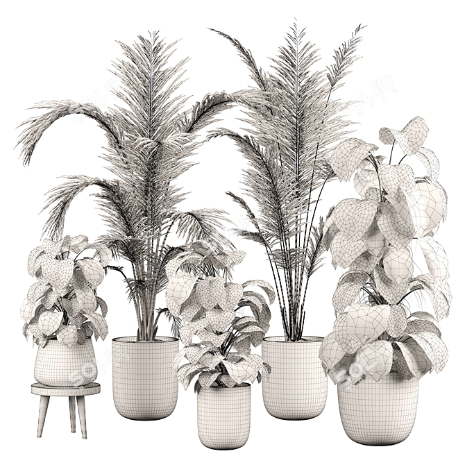 Botanical Beauty 2015 Indoor Plant 3D model image 4