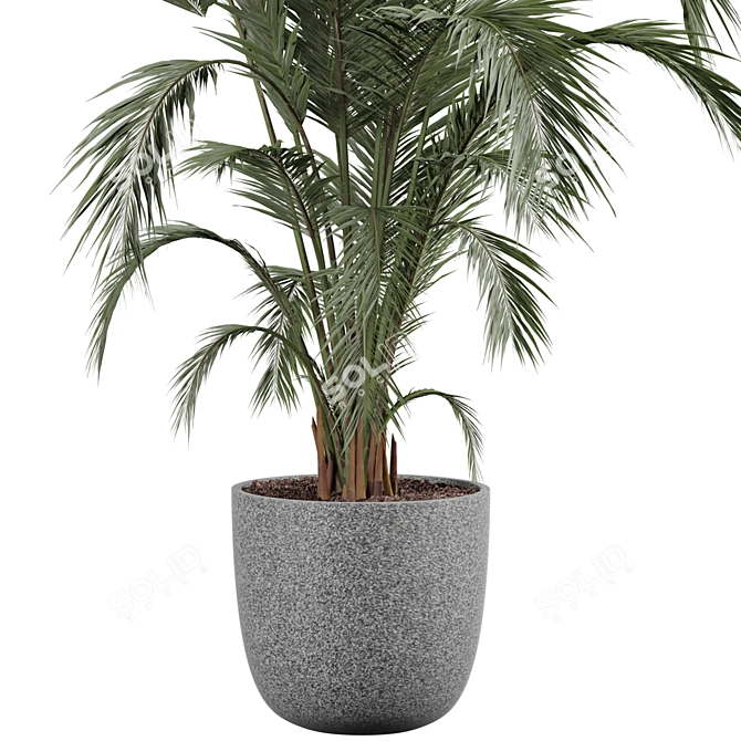 Modern Indoor Plant 3D Model 3D model image 2