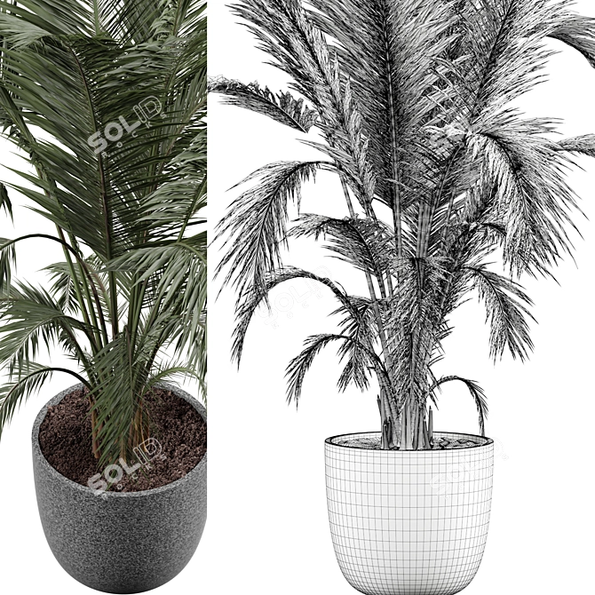 Modern Indoor Plant 3D Model 3D model image 3
