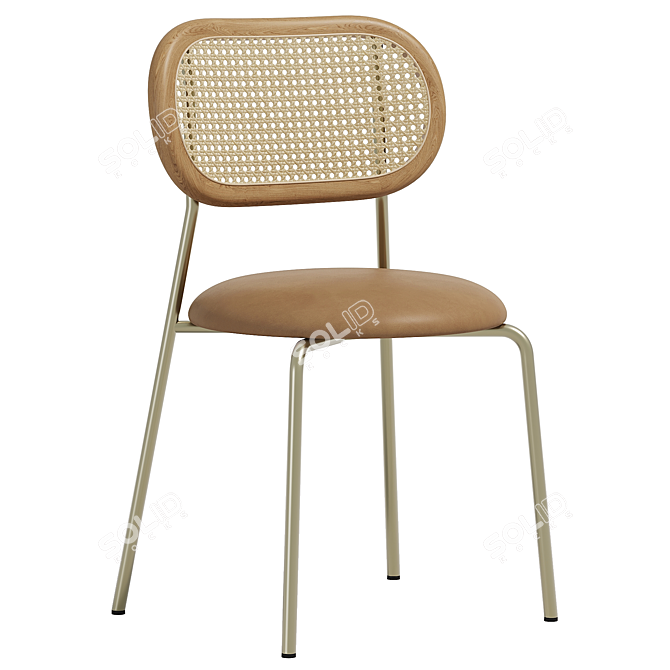  Modern Rattan Dining Chair Set 3D model image 1