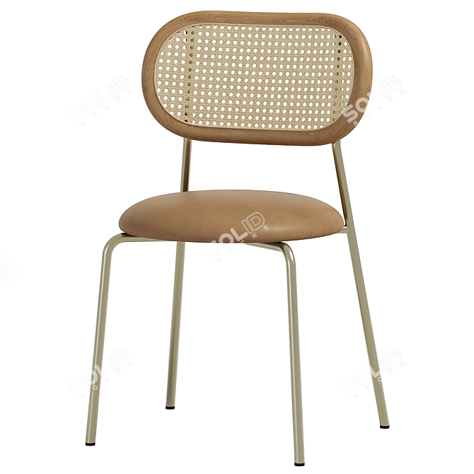  Modern Rattan Dining Chair Set 3D model image 2