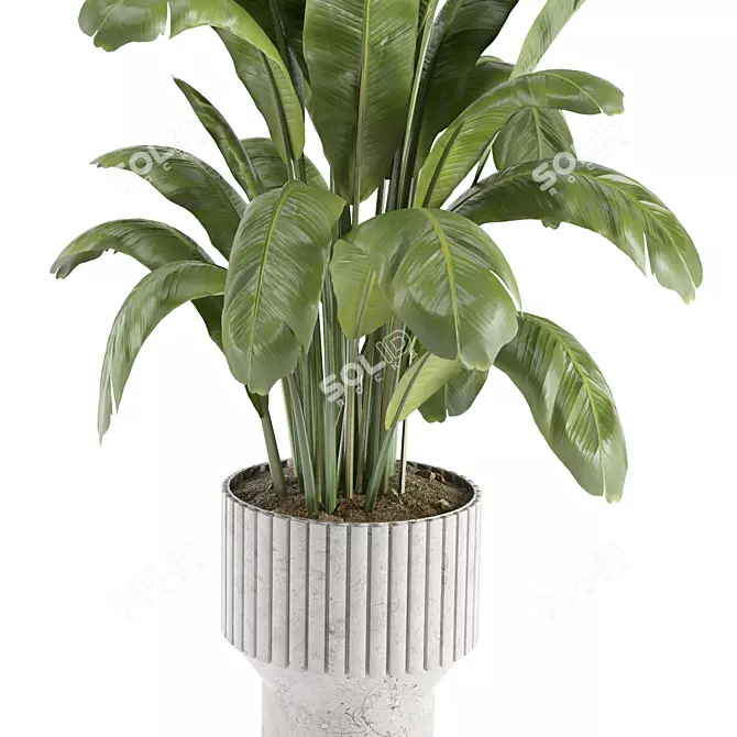  Modern Indoor Plant Set 7 3D model image 3