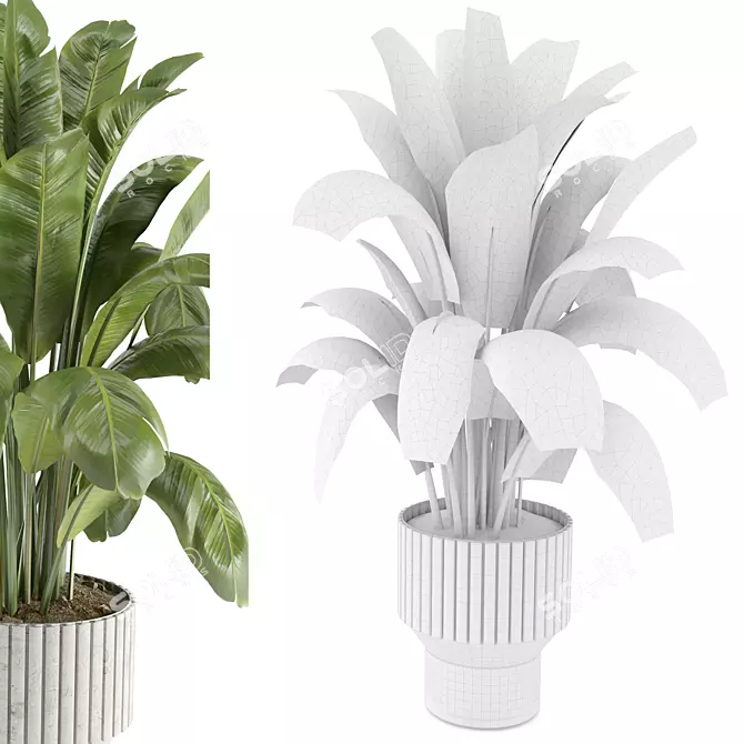  Modern Indoor Plant Set 7 3D model image 4
