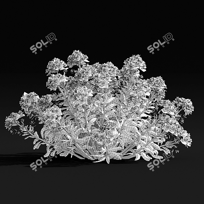 Marsh Spurge 3D Models Collection 3D model image 6