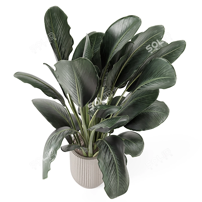 Handmade Stone Pot Indoor Plants 3D model image 2