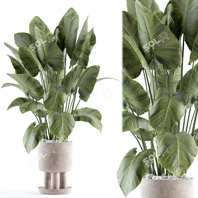 Custom Indoor Plant Model 3D 3D model image 1