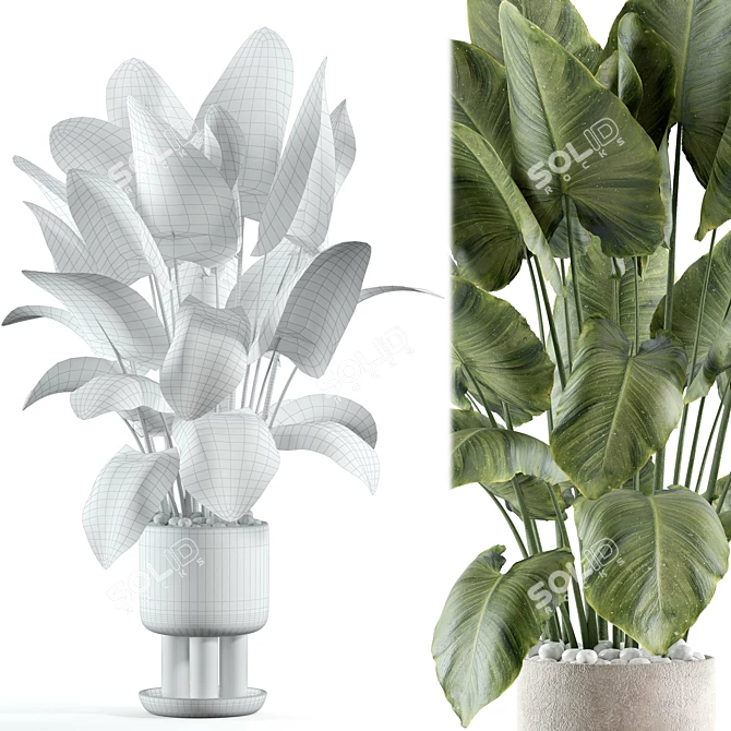 Custom Indoor Plant Model 3D 3D model image 2