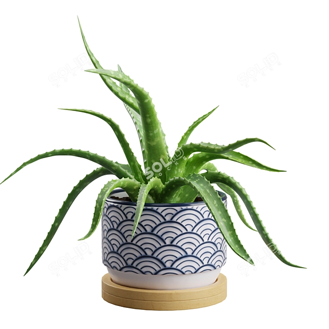 Lush Aloe Vera Mini Pot 3D model image 4