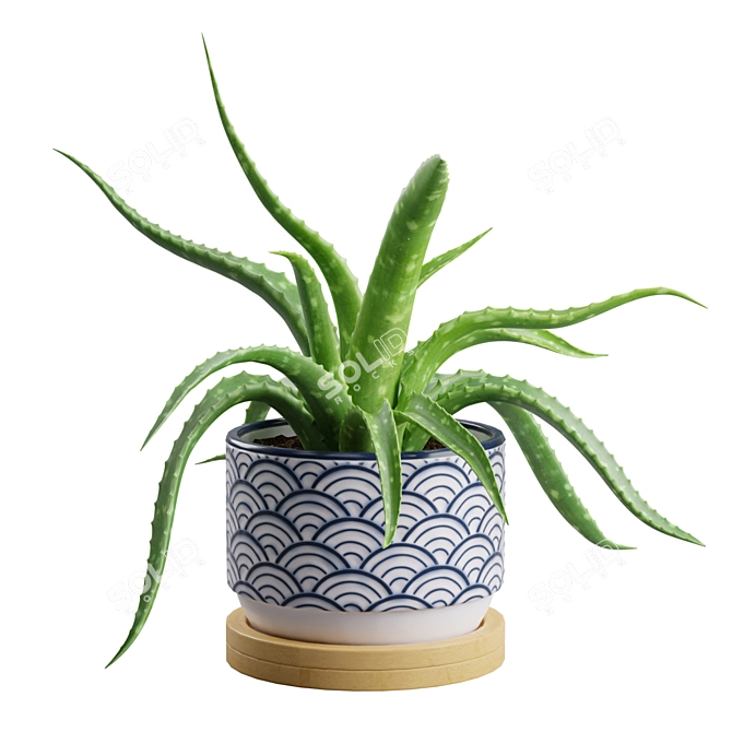 Lush Aloe Vera Mini Pot 3D model image 5