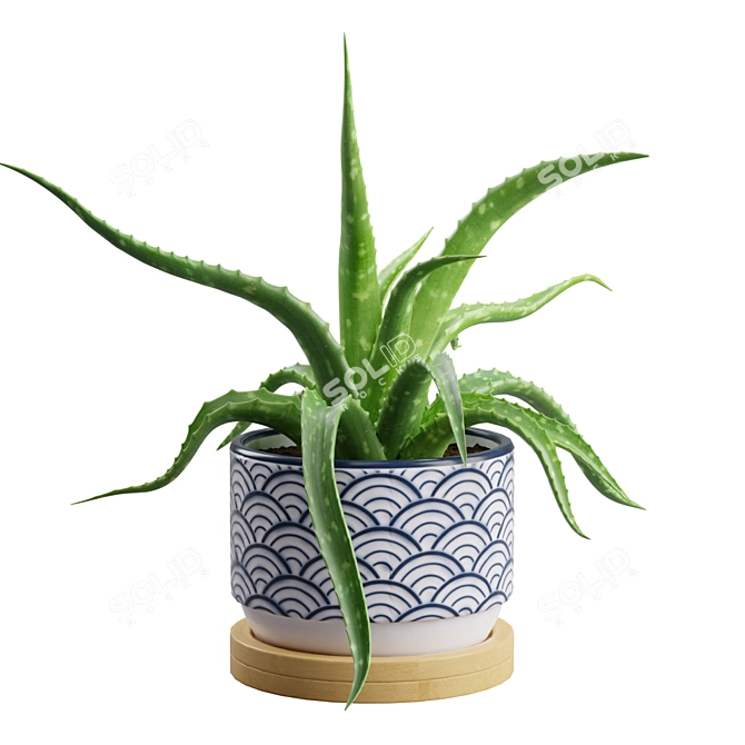 Lush Aloe Vera Mini Pot 3D model image 6