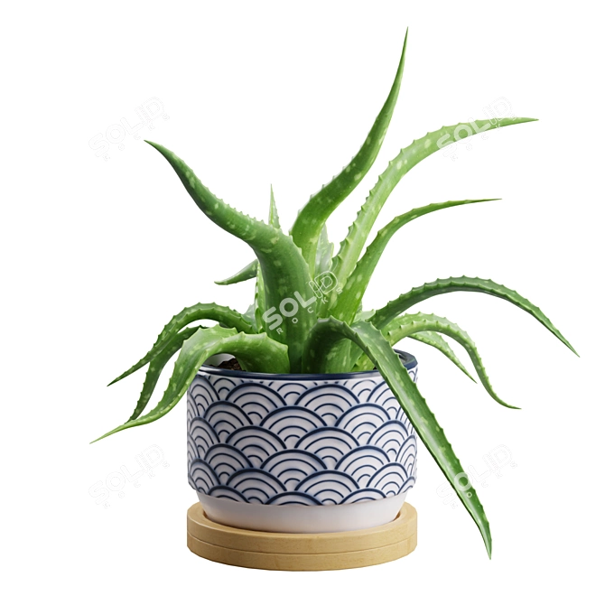 Lush Aloe Vera Mini Pot 3D model image 7