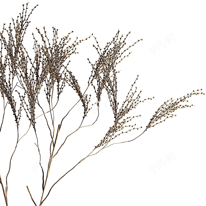 Modern Minimalist Dried Floral Arrangement 3D model image 2