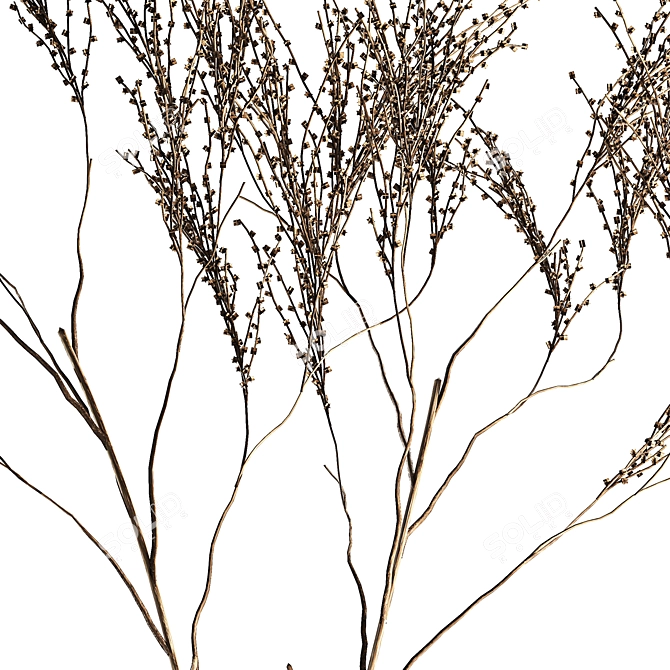 Modern Minimalist Dried Floral Arrangement 3D model image 5