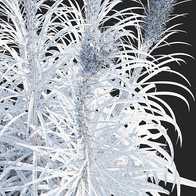 White Liatris Flowers Collection 3D model image 5