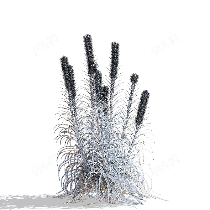 White Liatris Flowers Collection 3D model image 7