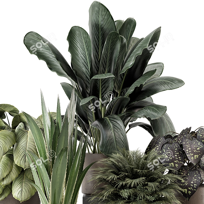 Faux Indoor Plants in Chic Concrete Pot 3D model image 3