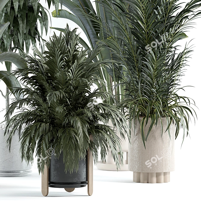 Custom Indoor Plant 3D Model 3D model image 2