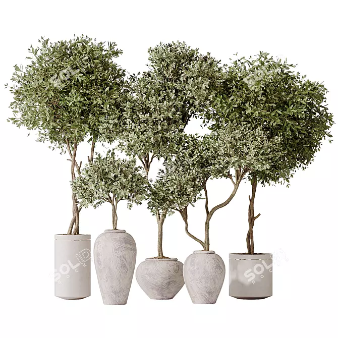 Artificial Olivo Olea Tree Set 3D model image 1