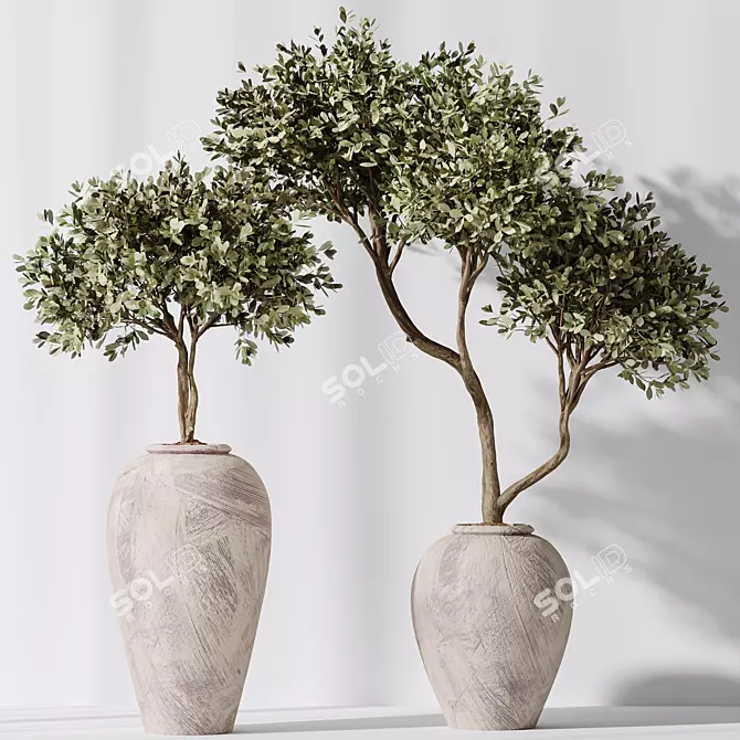 Artificial Olivo Olea Tree Set 3D model image 3