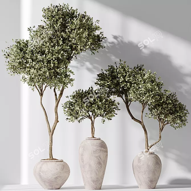 Artificial Olivo Olea Tree Set 3D model image 6